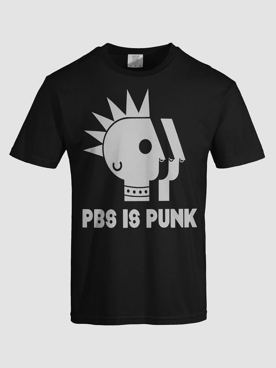 Two Crow Collective PBS Is Punk Shirt product image (63)