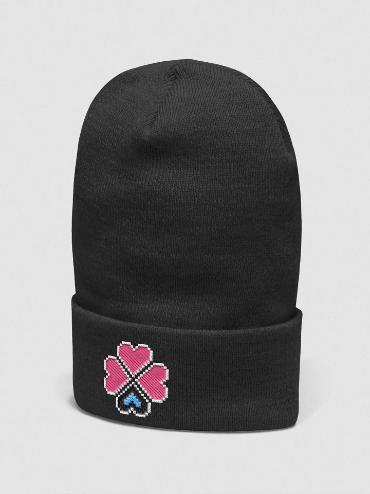 Caustic Remedy Beanie (Black) product image (2)