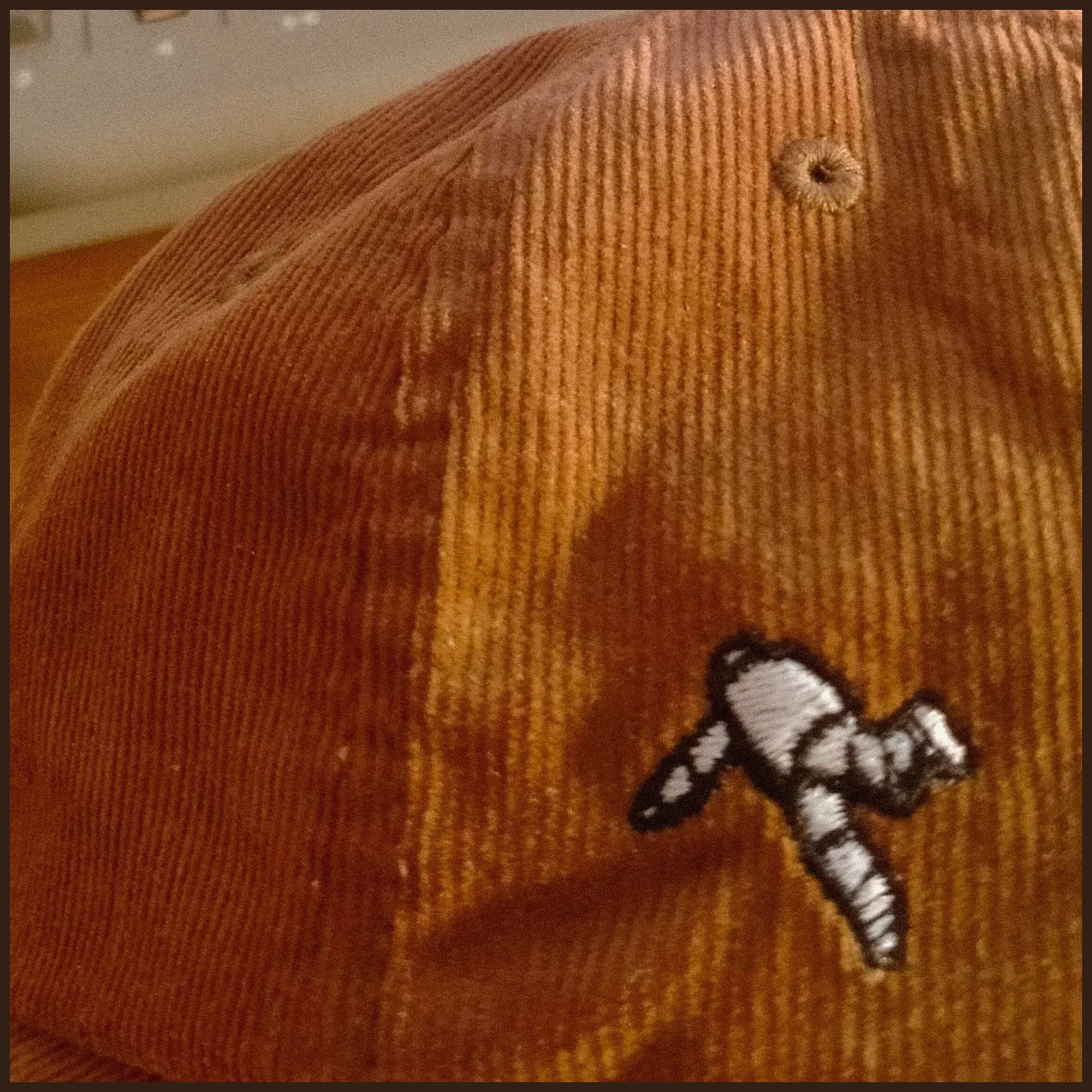 Jippy's Cap