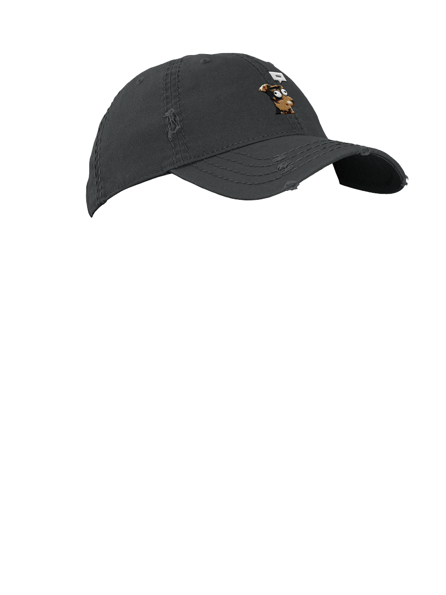 Pre-chewed hat! product image (7)