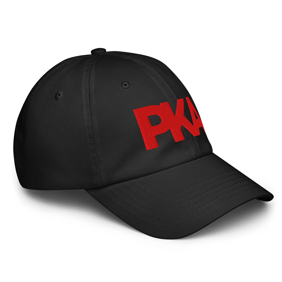 Under Armor PKA Dad Hat product image (4)