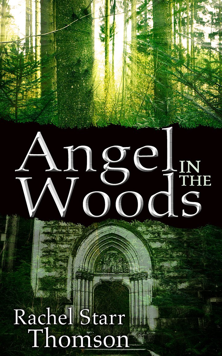 Angel in the Woods [EBOOK] product image (1)