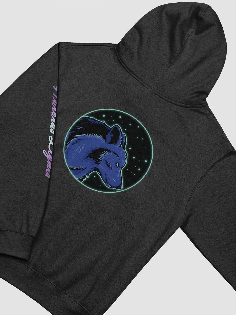 AurorasLights Dance Cozy Blend Midweight Hoodie product image (4)