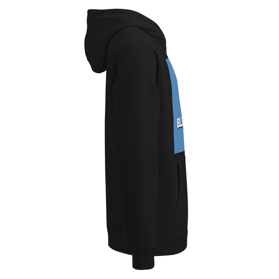 BlueVirgo83 Hoodie product image (3)