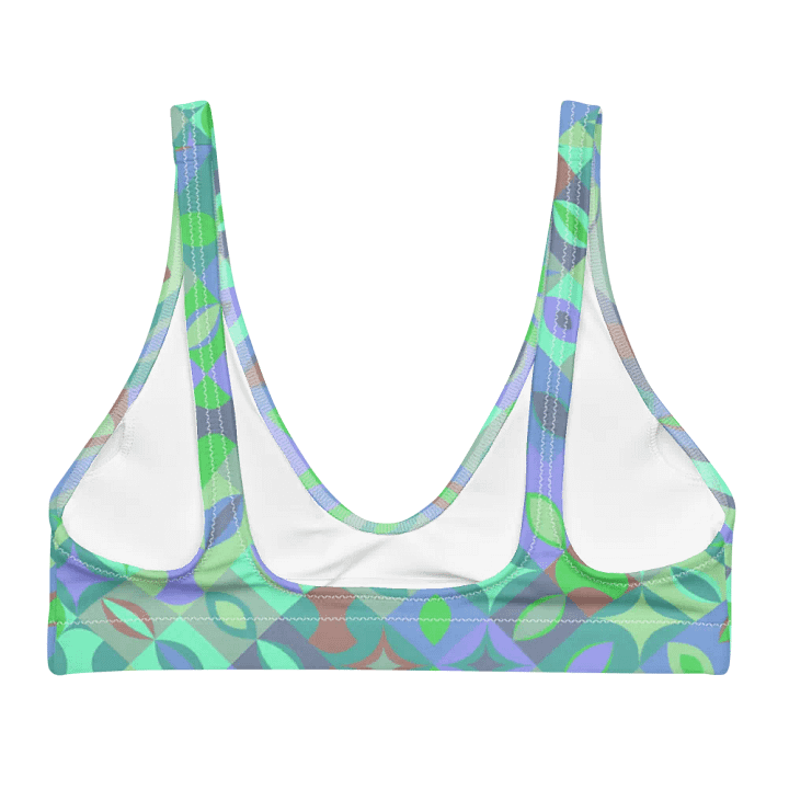 Colorful Vector Patterns Design Padded Bikini Top - v12 product image (1)