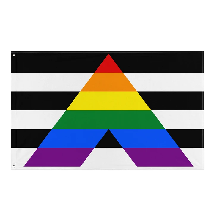 Straight Ally Flag product image (1)