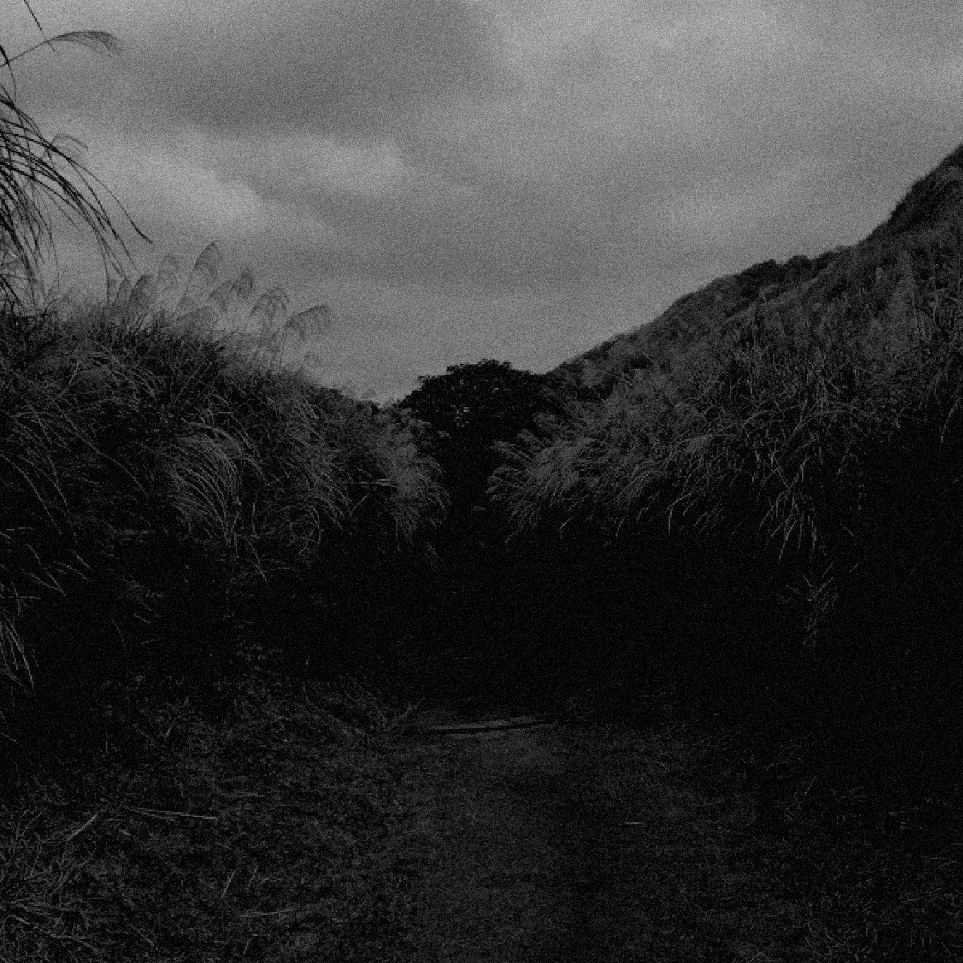 Mavo - Haavemeri [Digital Album, 2025] product image (1)