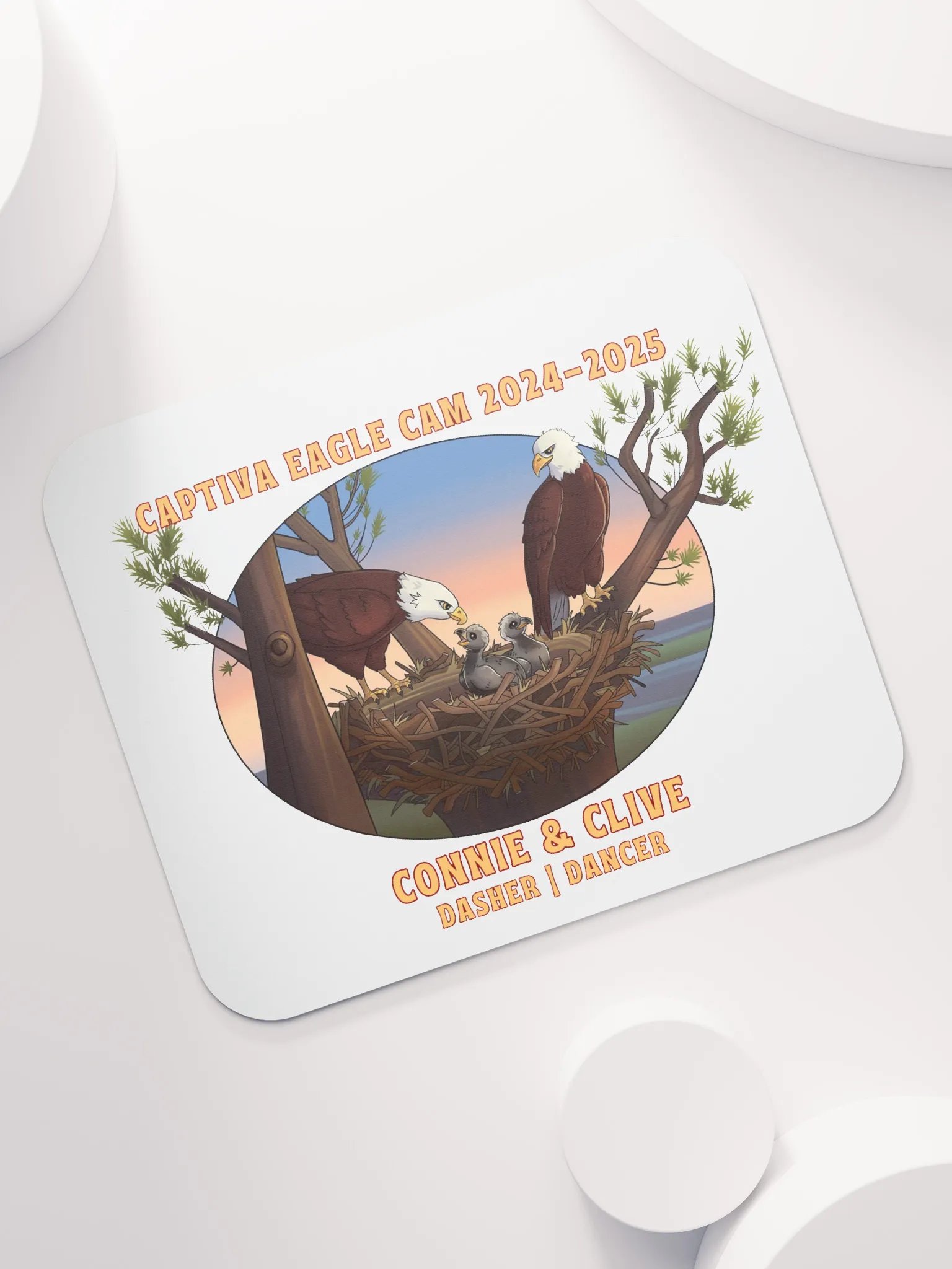 Art | Mouse Pad | Captiva Eagle Cam 2024-2025 product image (6)