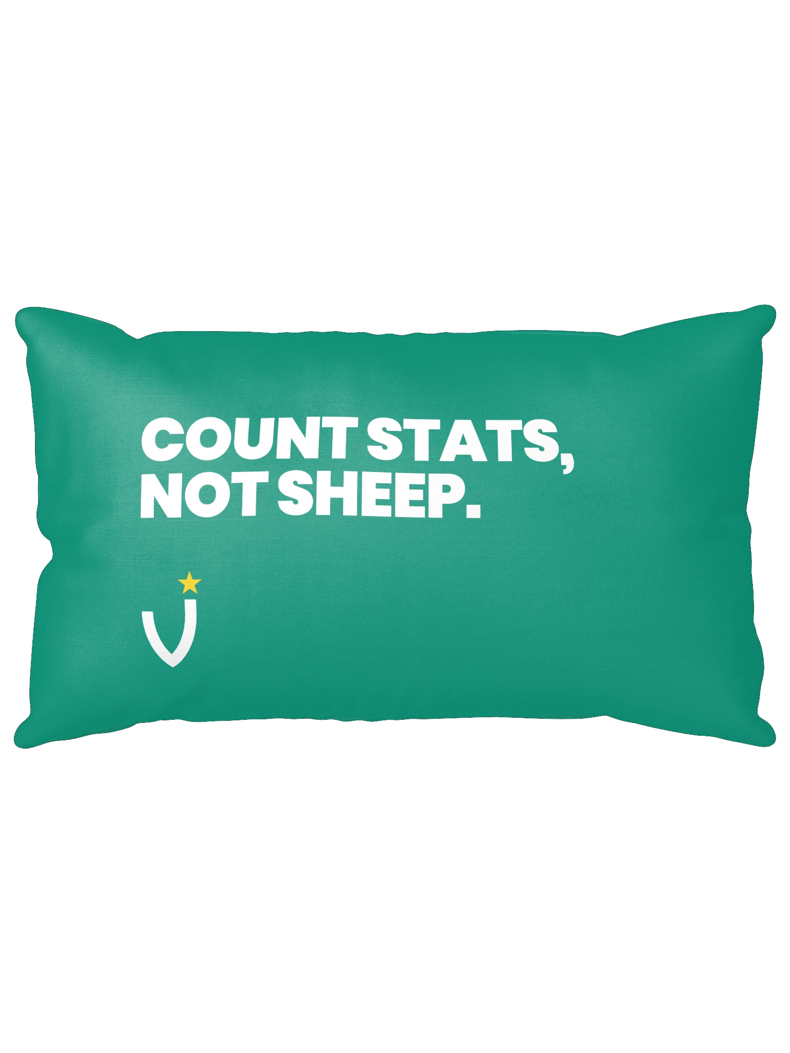 COUNT STATS, NOT SHEEP Basic Pillow product image (5)