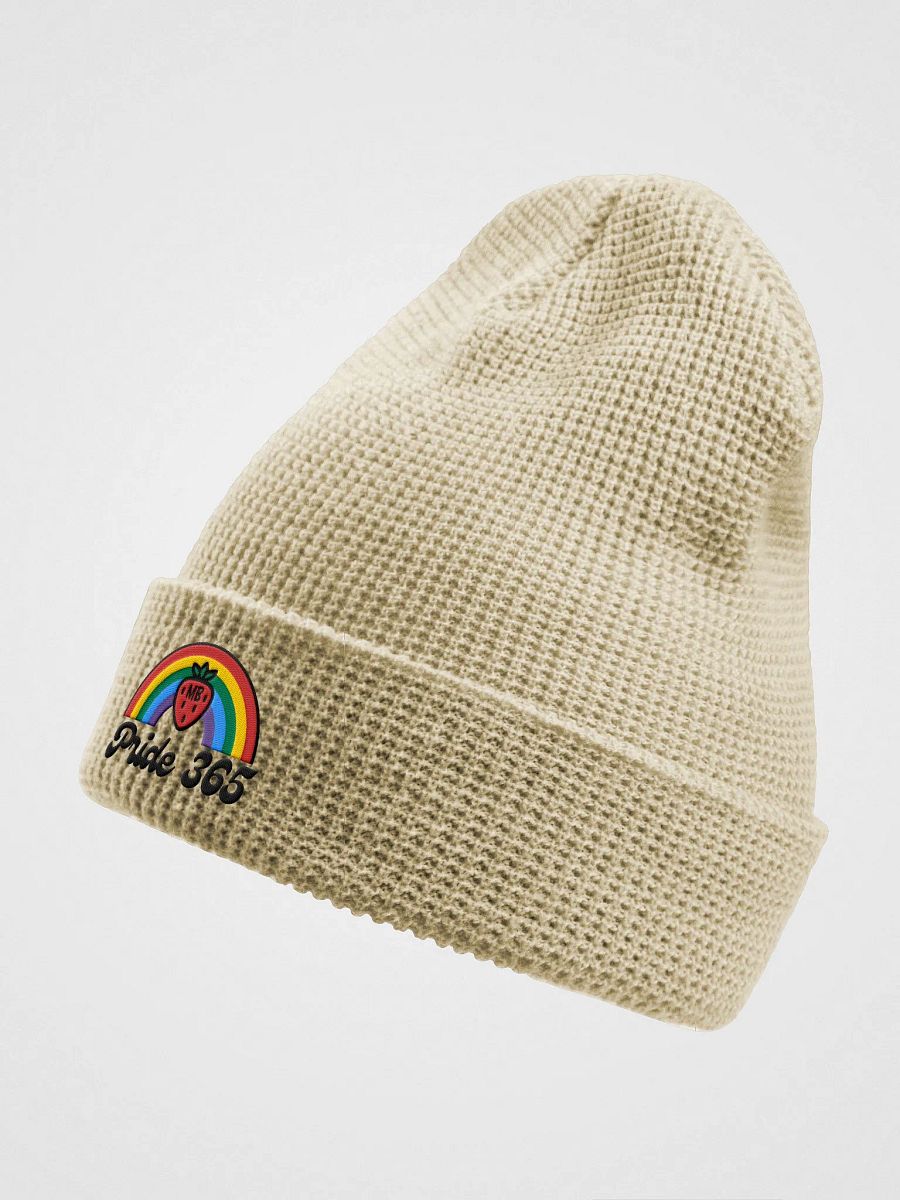 365 product image (3)