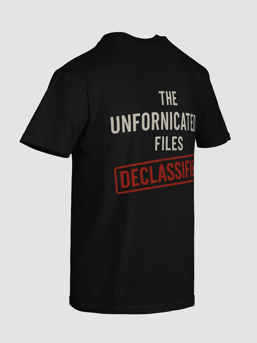 The Unfornicated Files: DECLASSIFIED Relaxed Tee product image (8)