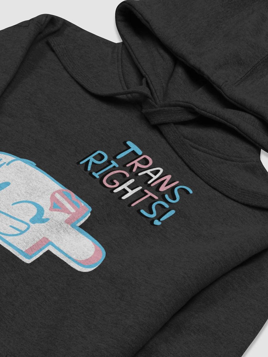 Treasure Tree Trans Rights Unisex Hoodie product image (19)