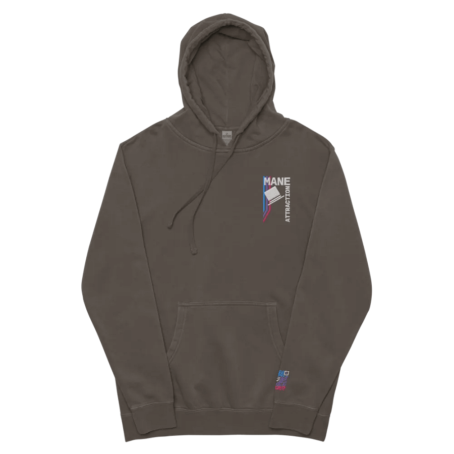 MA Hat Embroidered Hoodie product image (10)