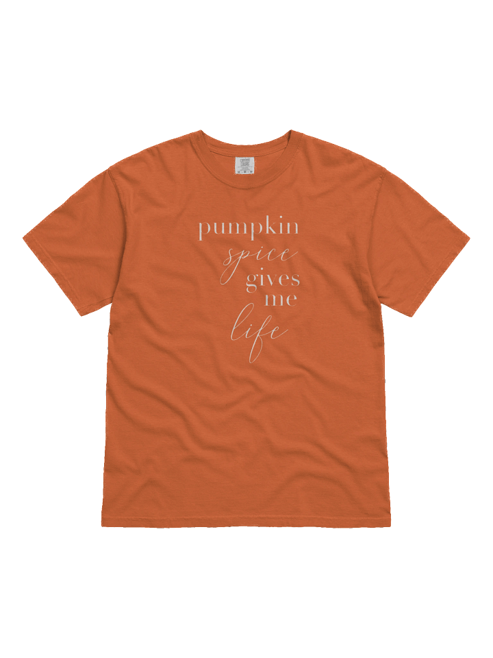 Pumpkin Spice Life Tee product image (1)