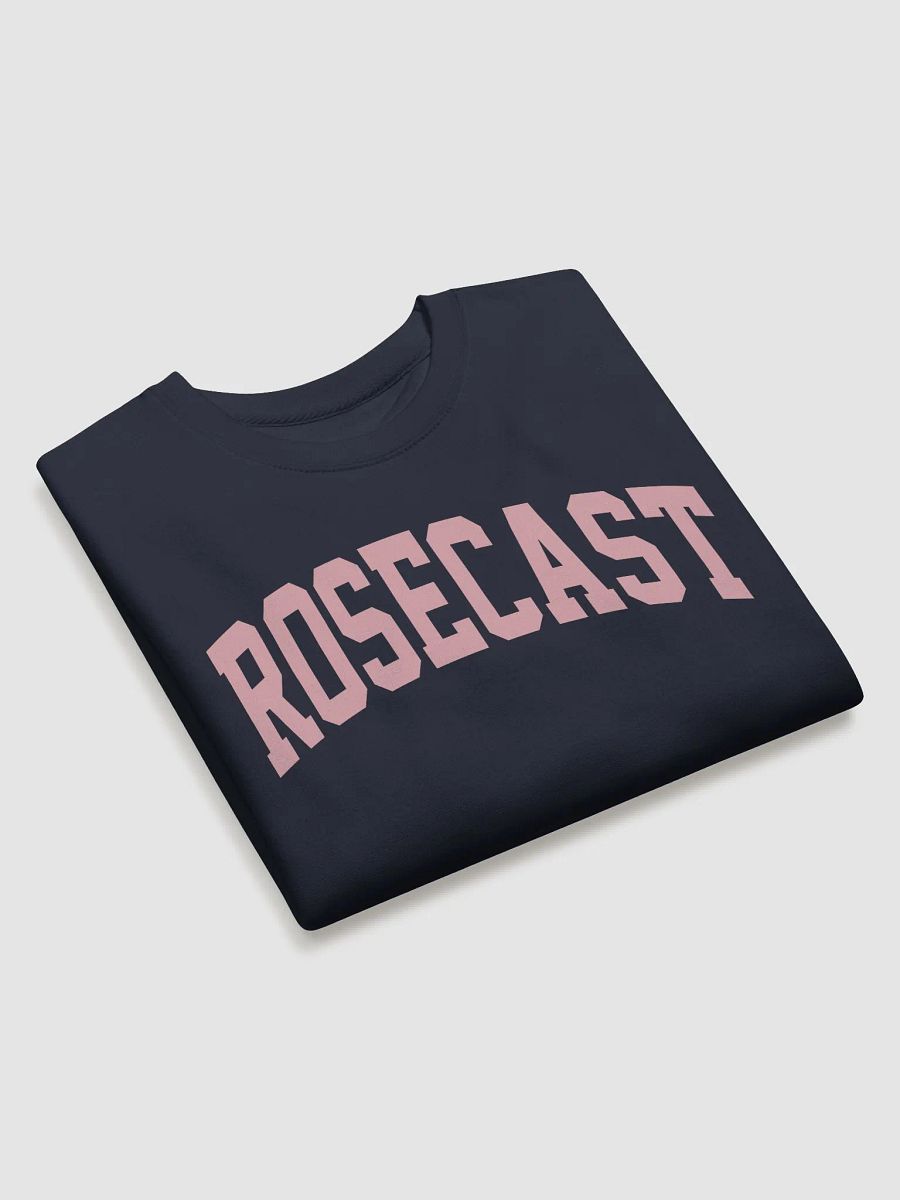 College Block Crewneck Sweatshirt (Premium) product image (4)