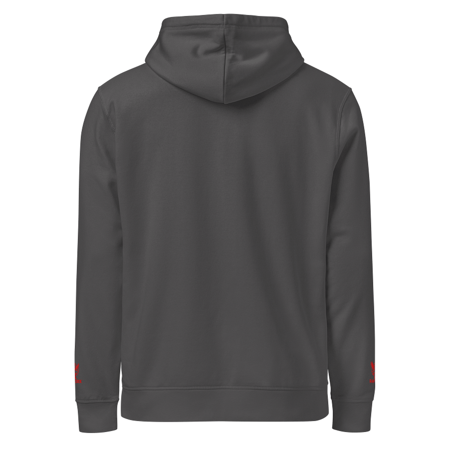 Raptor X Eagle Logo Organic Hoodie product image (23)