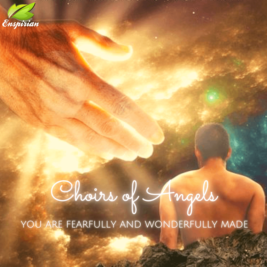 YOU ARE FEARFULLY AND WONDERFULLY MADE product image (1)