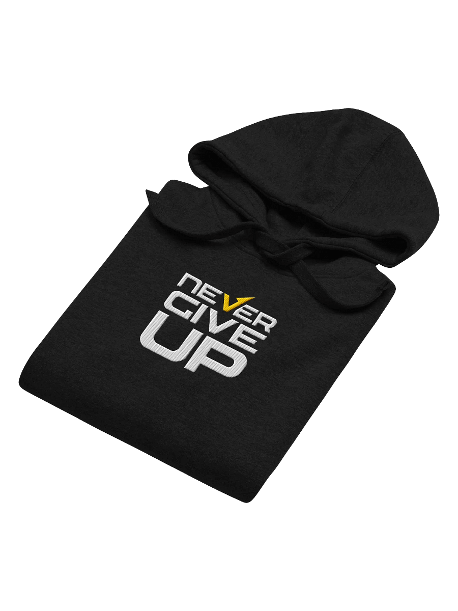Never Give Up! Center Embroidered Hoodie product image (4)