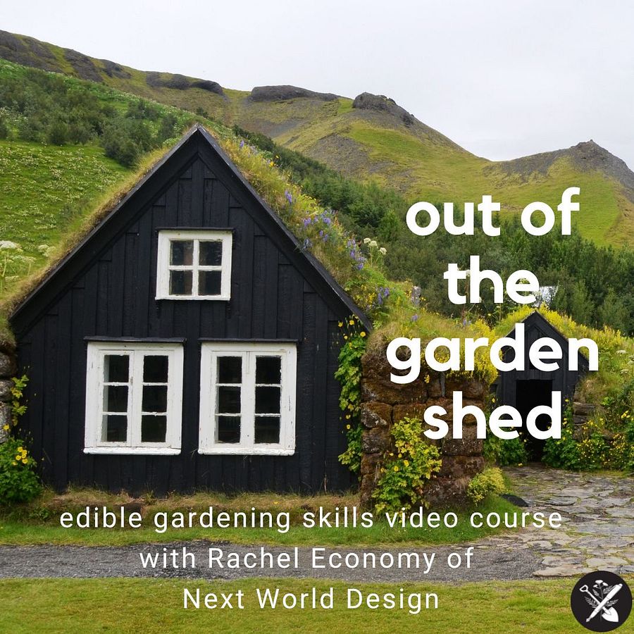 Out of the Garden Shed - Adaptive Home Gardening for Food & Joy product image (1)