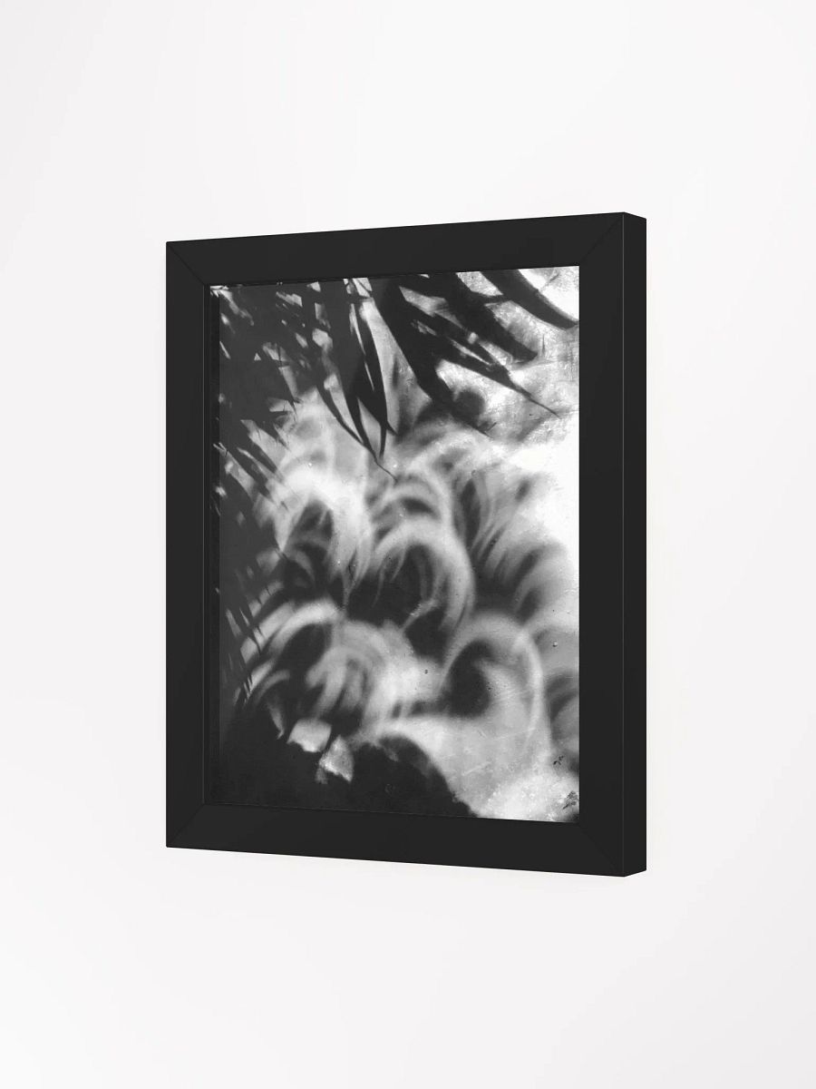 Crescents of Light from the Eclipse - Print 3 - Framed Poster product image (3)