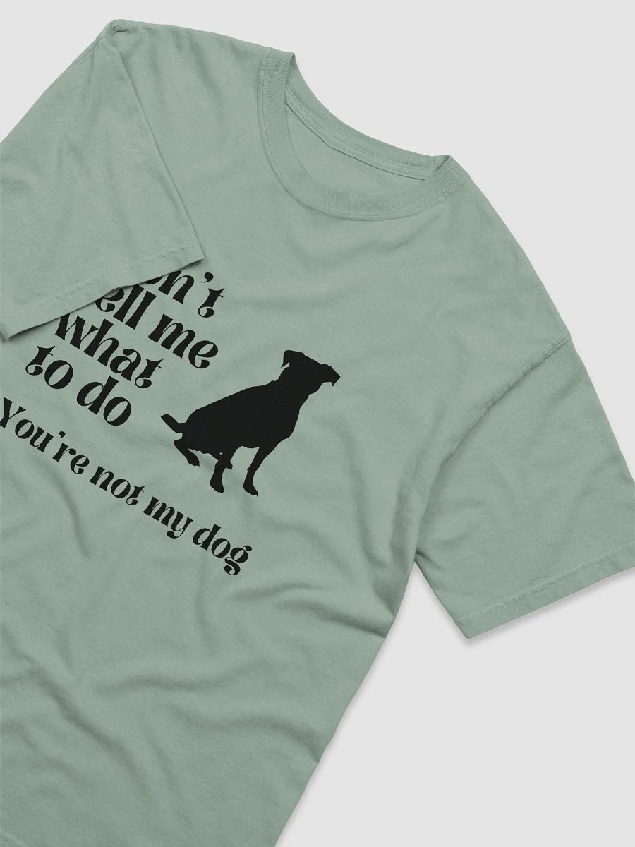 Don't Tell Me What To Do! product image (40)