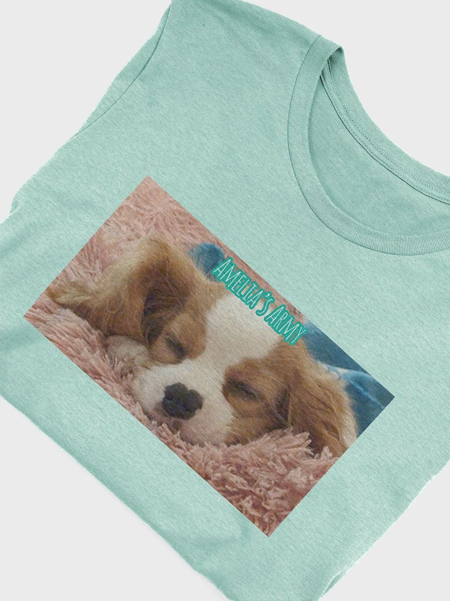 Amelia's Army Women's Cut SuperSoft T-Shirt product image (5)