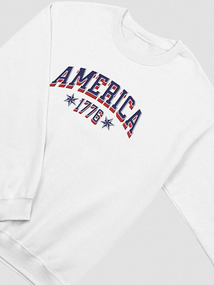 AMERICA / SWEATSHIRT / EMBROIDERED product image (25)