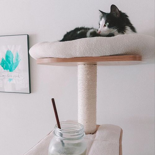 Cats and Matcha lattes 💚😌

Life has been hectic since the move to Sweden. Hope to be a bit settled soon 🤞 and playing Diablo ...