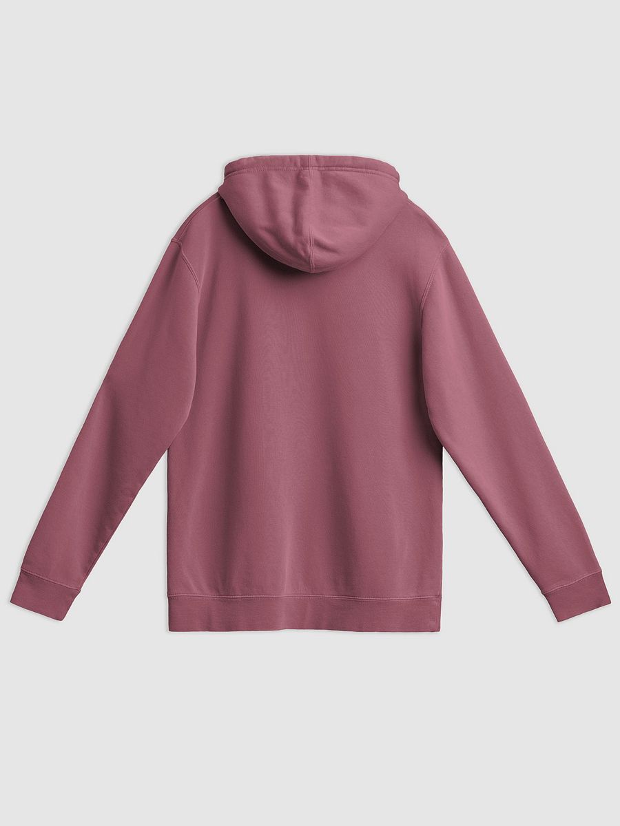 Super Soft Ultra High Quality Hoodie: Environmentalist Pook product image (2)