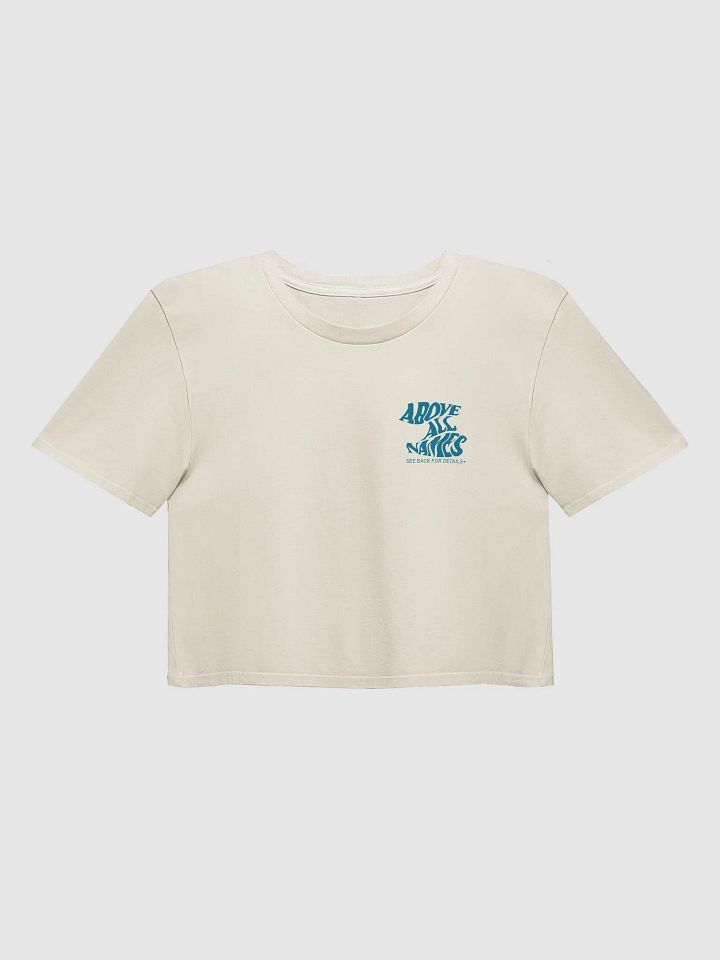Above All Names Crop T product image (2)