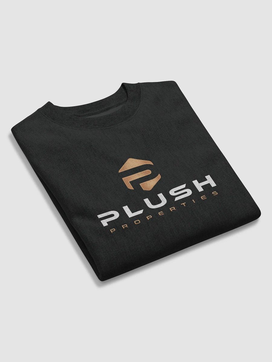 Plush Cotton Max Sweatshirt by Champion product image (3)