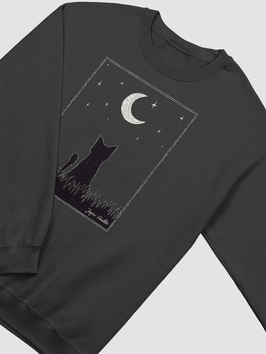 Stargazing Unisex Sweatshirt product image (2)