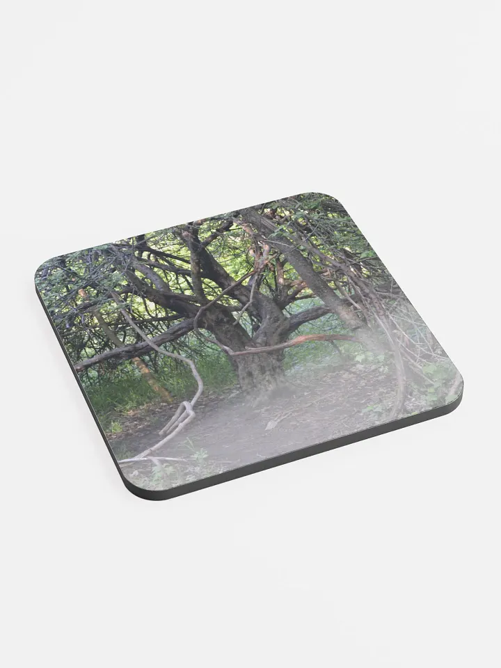 Branch Tree Cork Coaster product image (2)