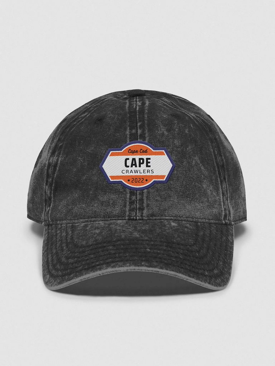 Vintage Dad Hat product image (1)