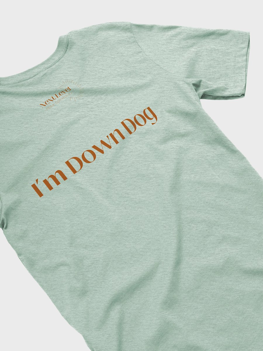 Yoga Retreat? I'm Down Dog Unisex Lightweight T product image (16)