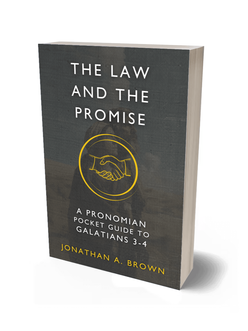 The Law and the Promise: A Pronomian Pocket Guide to Galatians 3–4 product image (1)