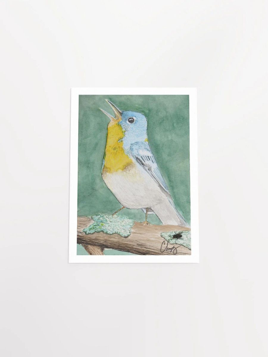 Northern Parula Warbler Print product image (4)