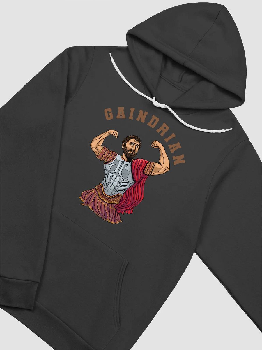 Gaindrian Hoodie product image (13)