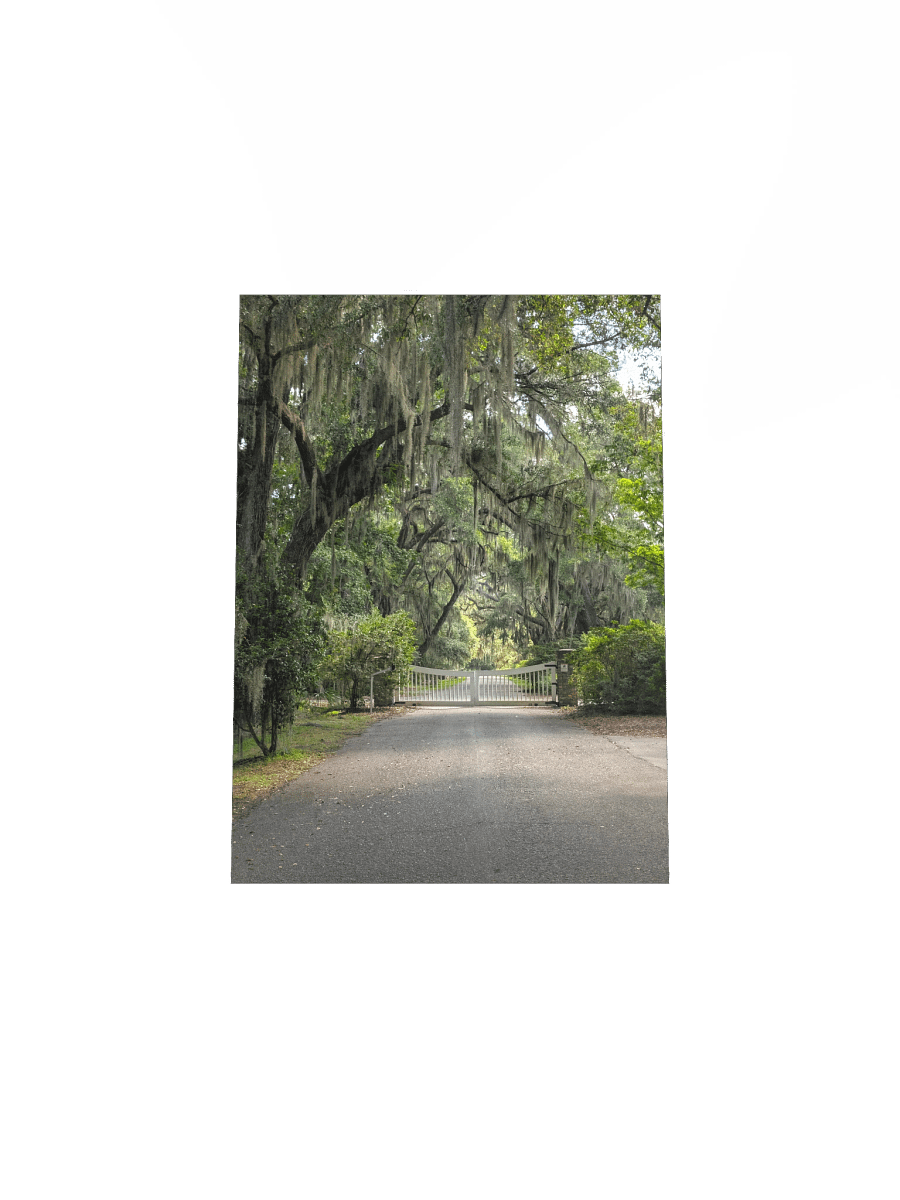 Magnolia's Mossy Entrance Poster product image (35)