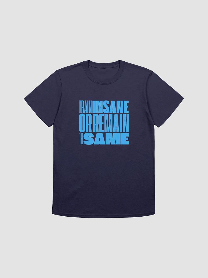 TRAIN INSANE OR REMAIN THE SAME TEE product image (25)