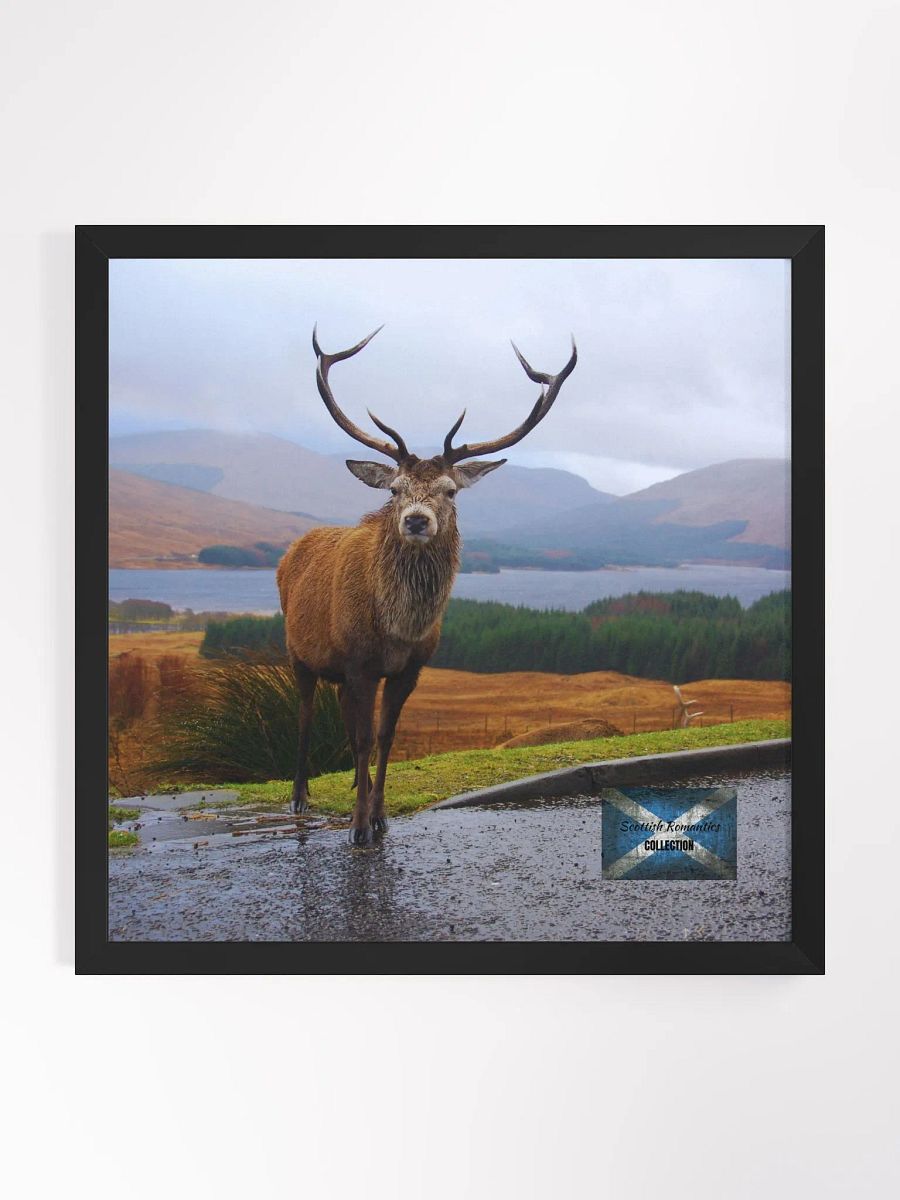 Scottish Romantics Framed Photo product image (1)