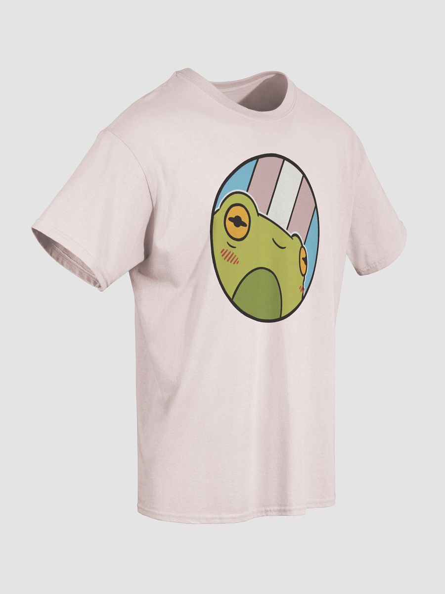 t-shirt : froge transgender product image (3)