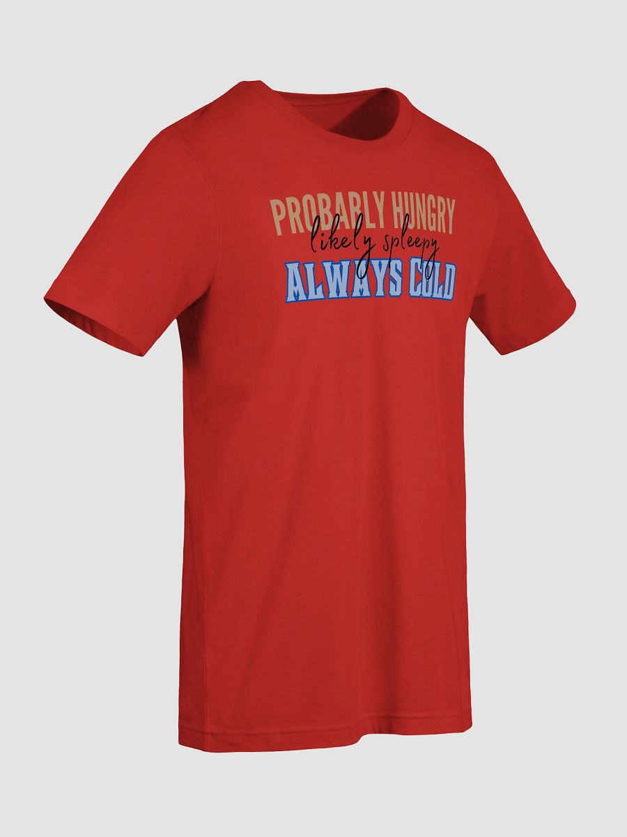 Probably Hungry Likely Sleepy Always Cold Unisex T-Shirt product image (98)