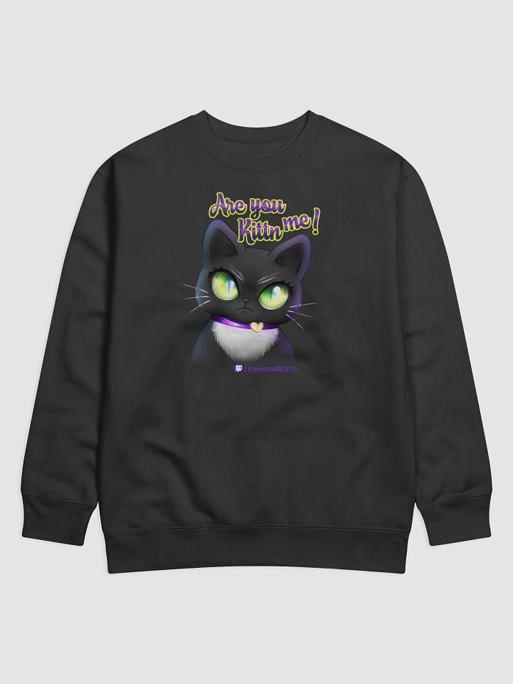 Are you Kittn Me Sweatshirt product image (1)