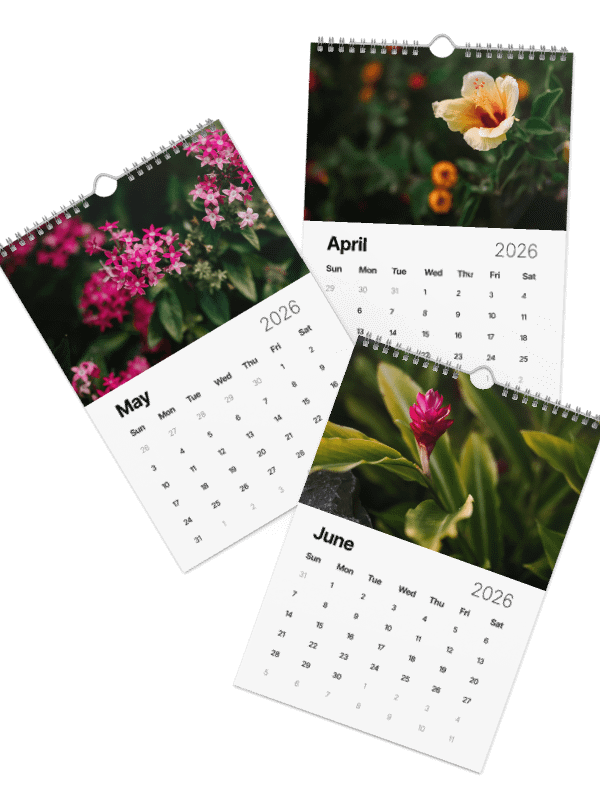 2026 Maui Flora Calendar - Photography by Kayla x Ruble product image (3)