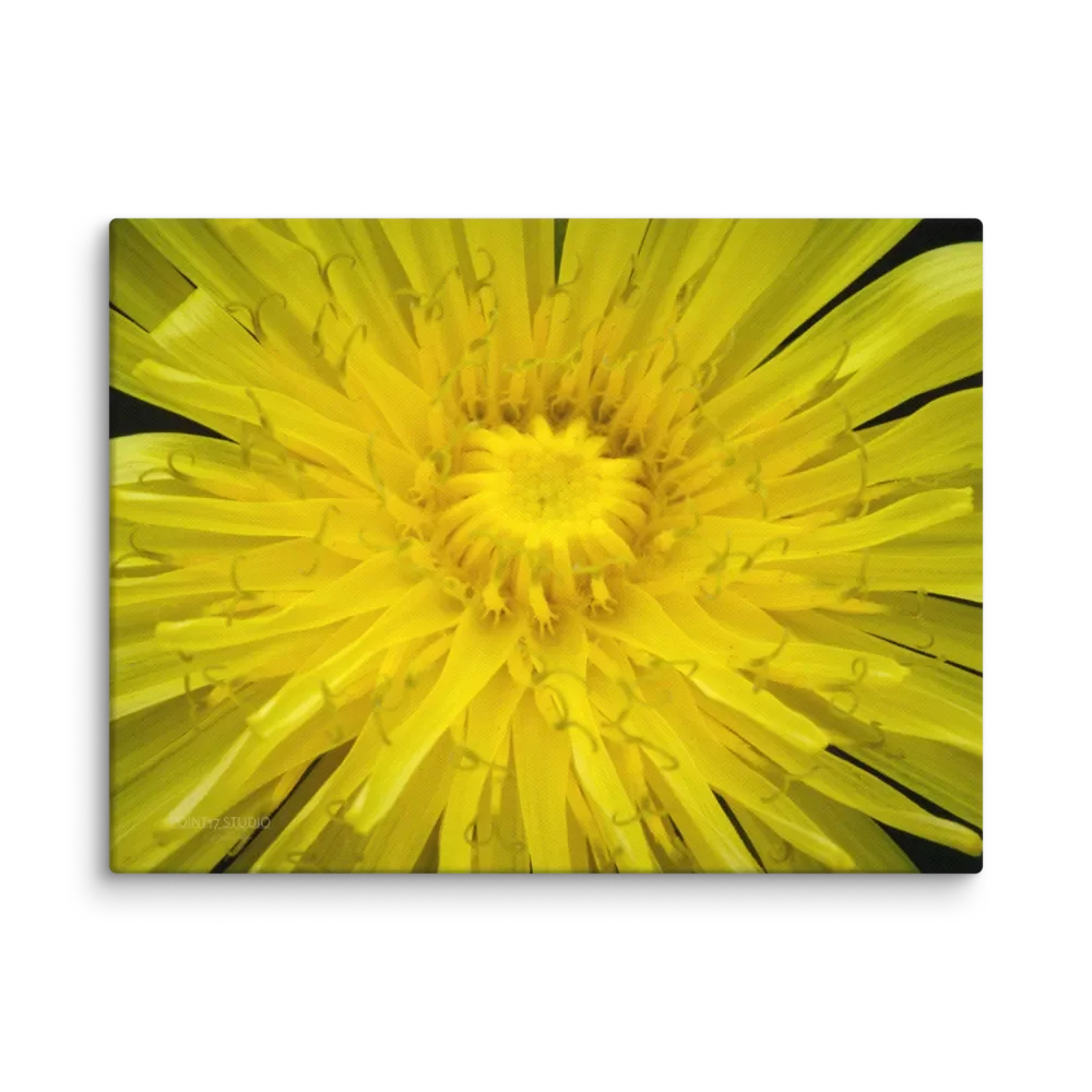 Full Sun Dandelion - Print On Canvas product image (1)