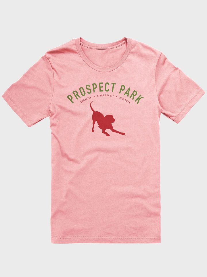 Prospect Park Pink Tee product image (1)