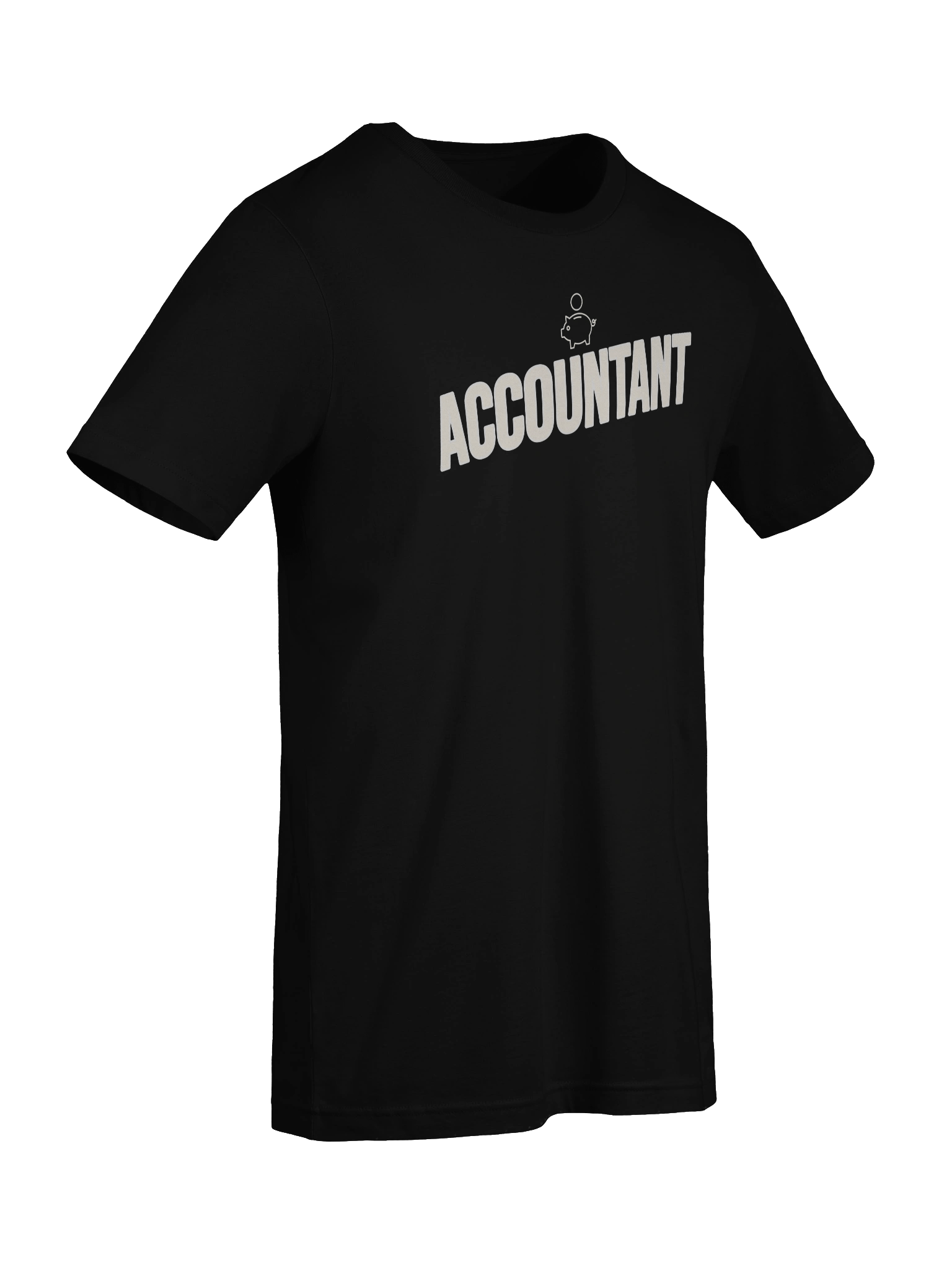 Accountant product image (6)