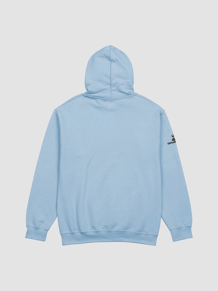 Sell It To Me, Baby - Hoodie product image (13)