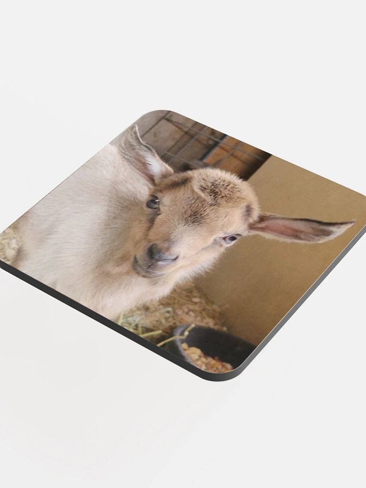 Baby Kiwi goat coaster product image (1)